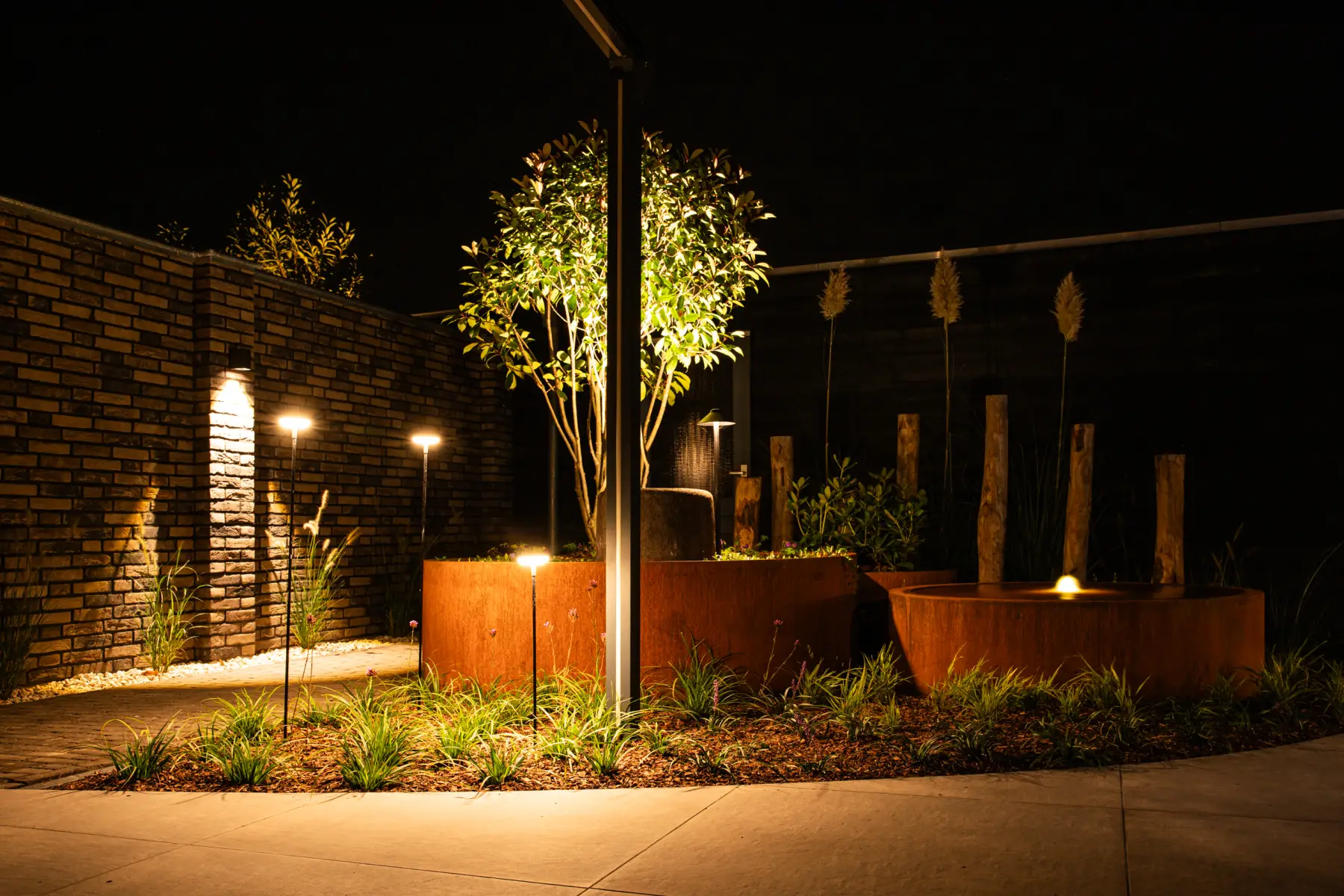 Moderne tuin met organische lijnen