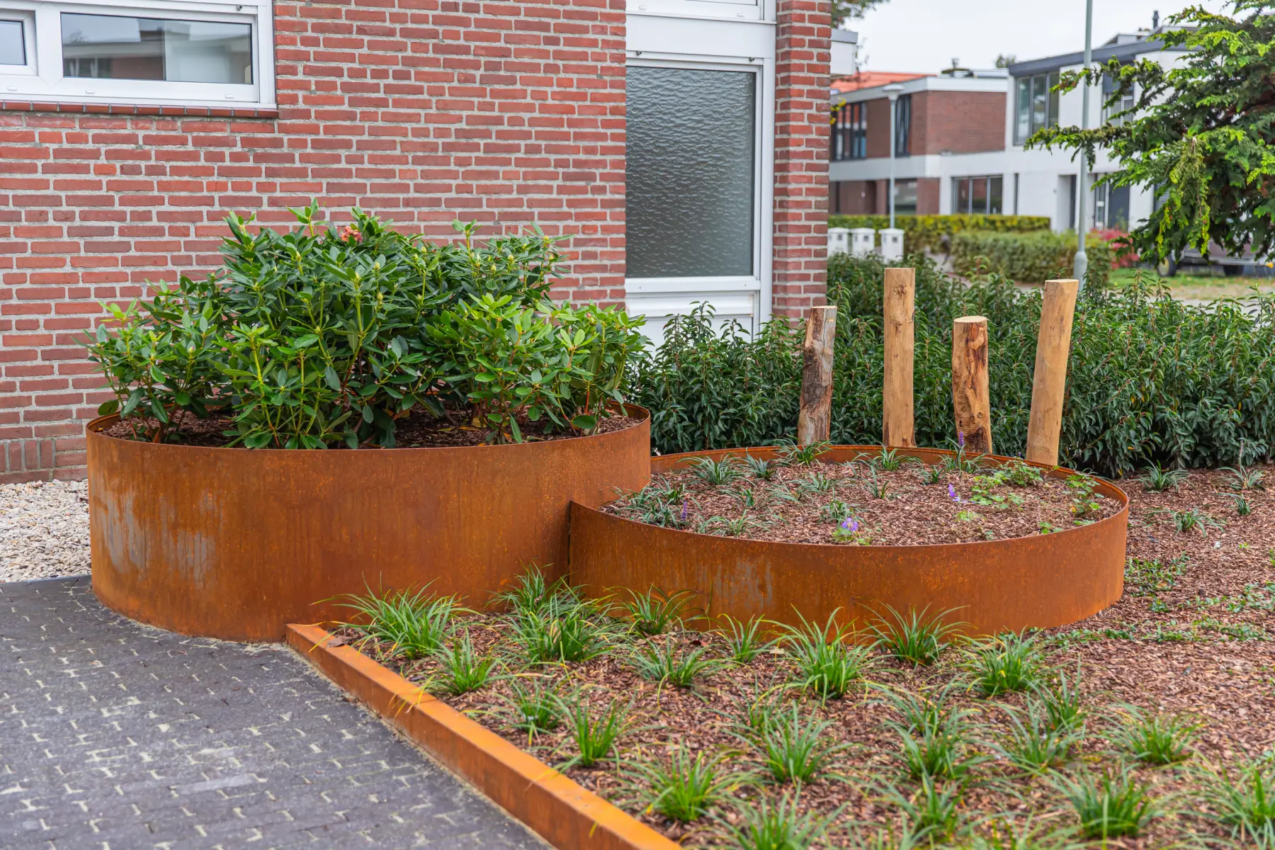 Moderne tuin met organische lijnen