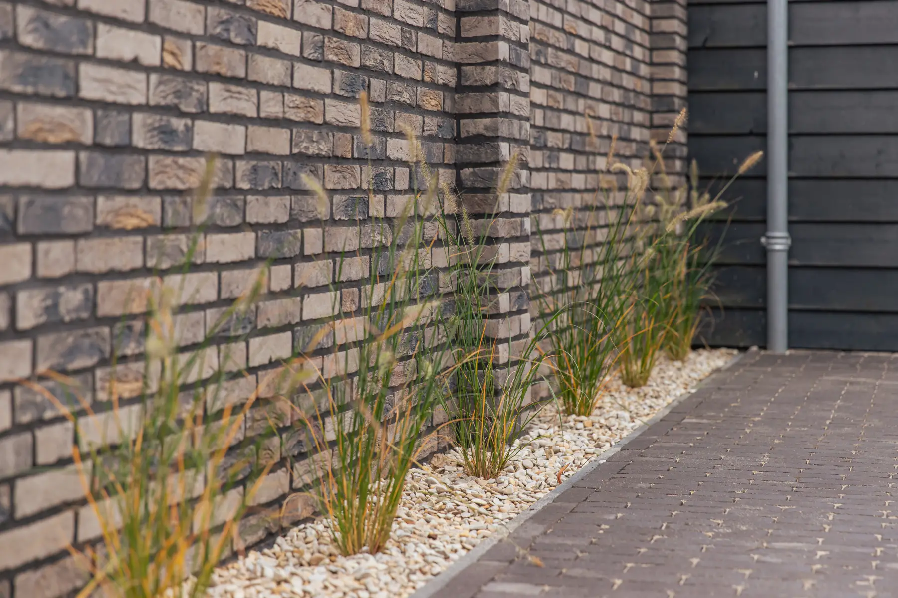 Moderne tuin met organische lijnen
