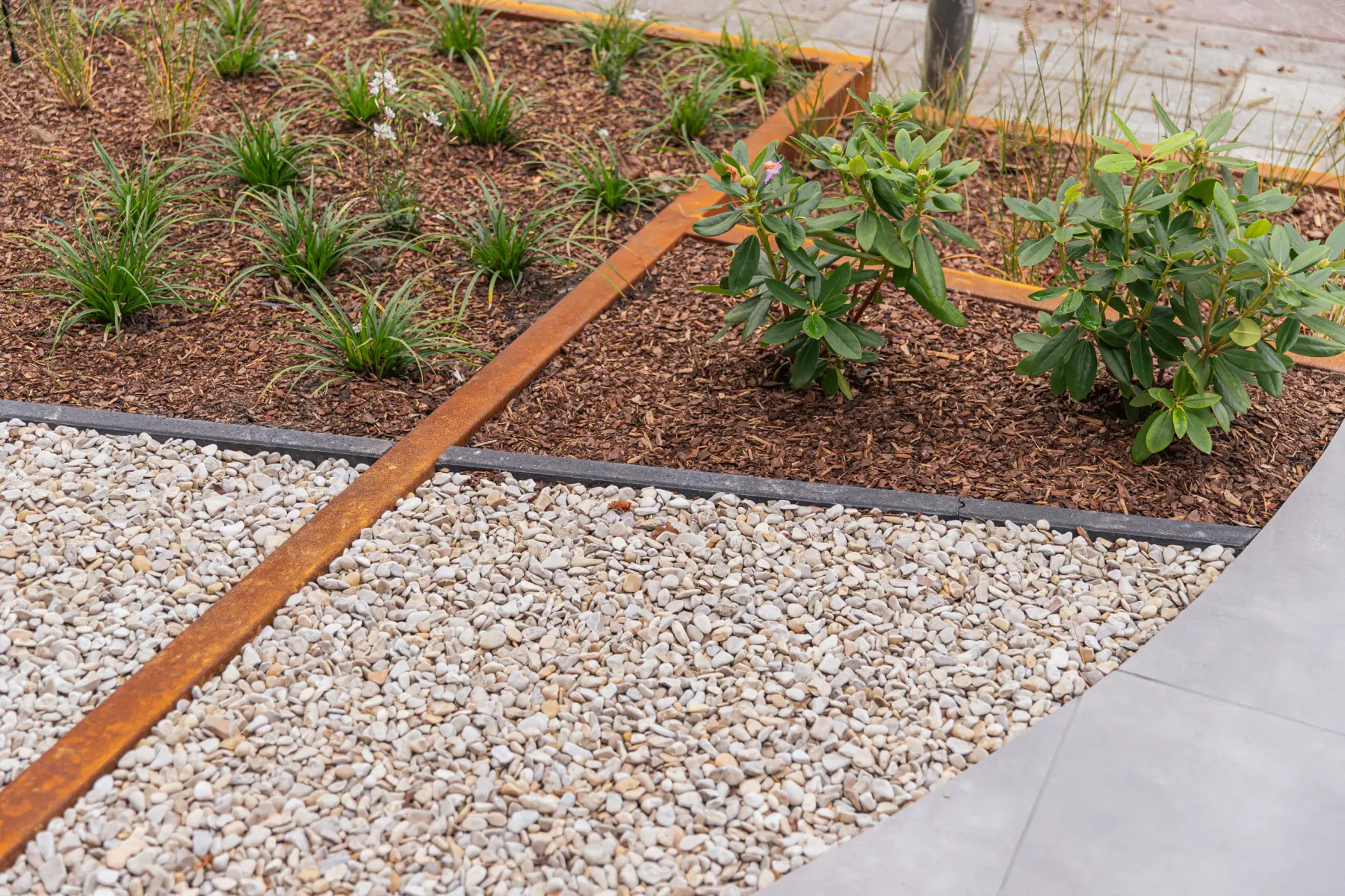Moderne tuin met organische lijnen