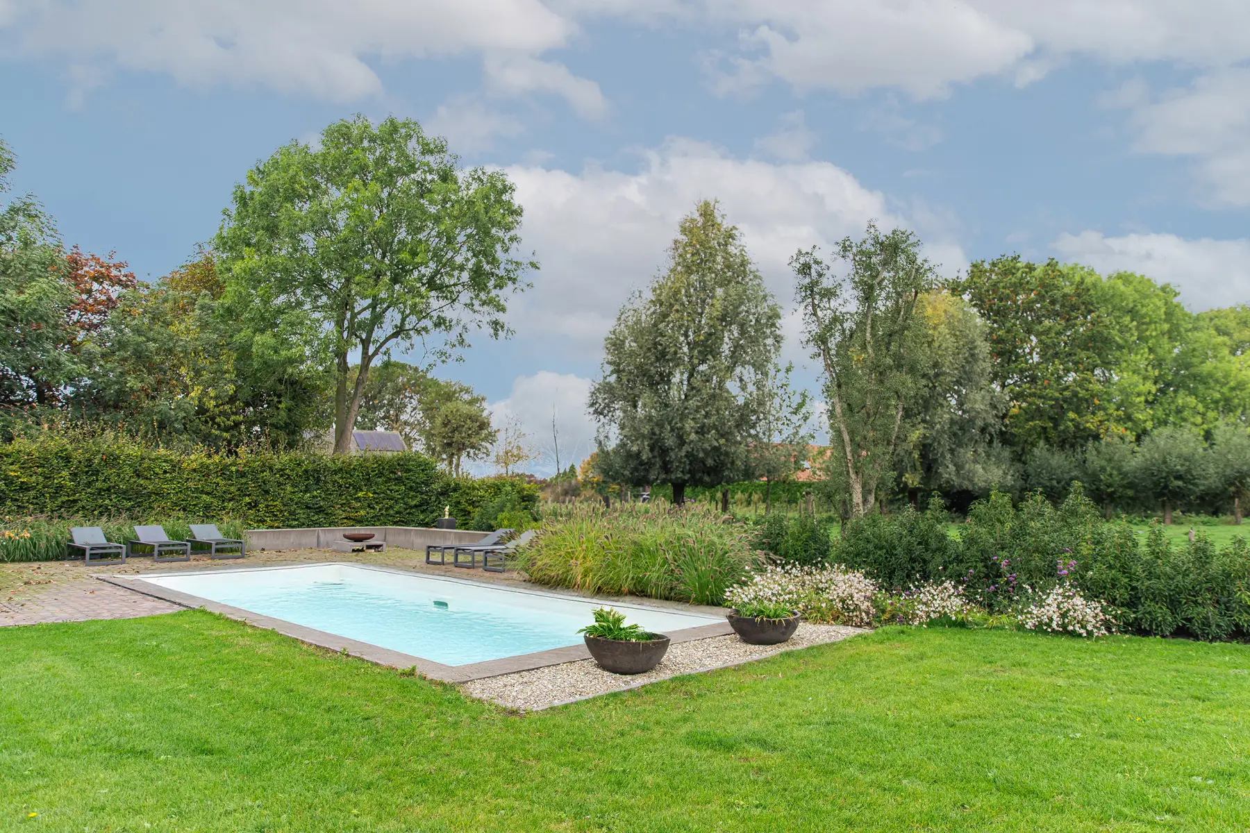 Groene tuin met zwembad