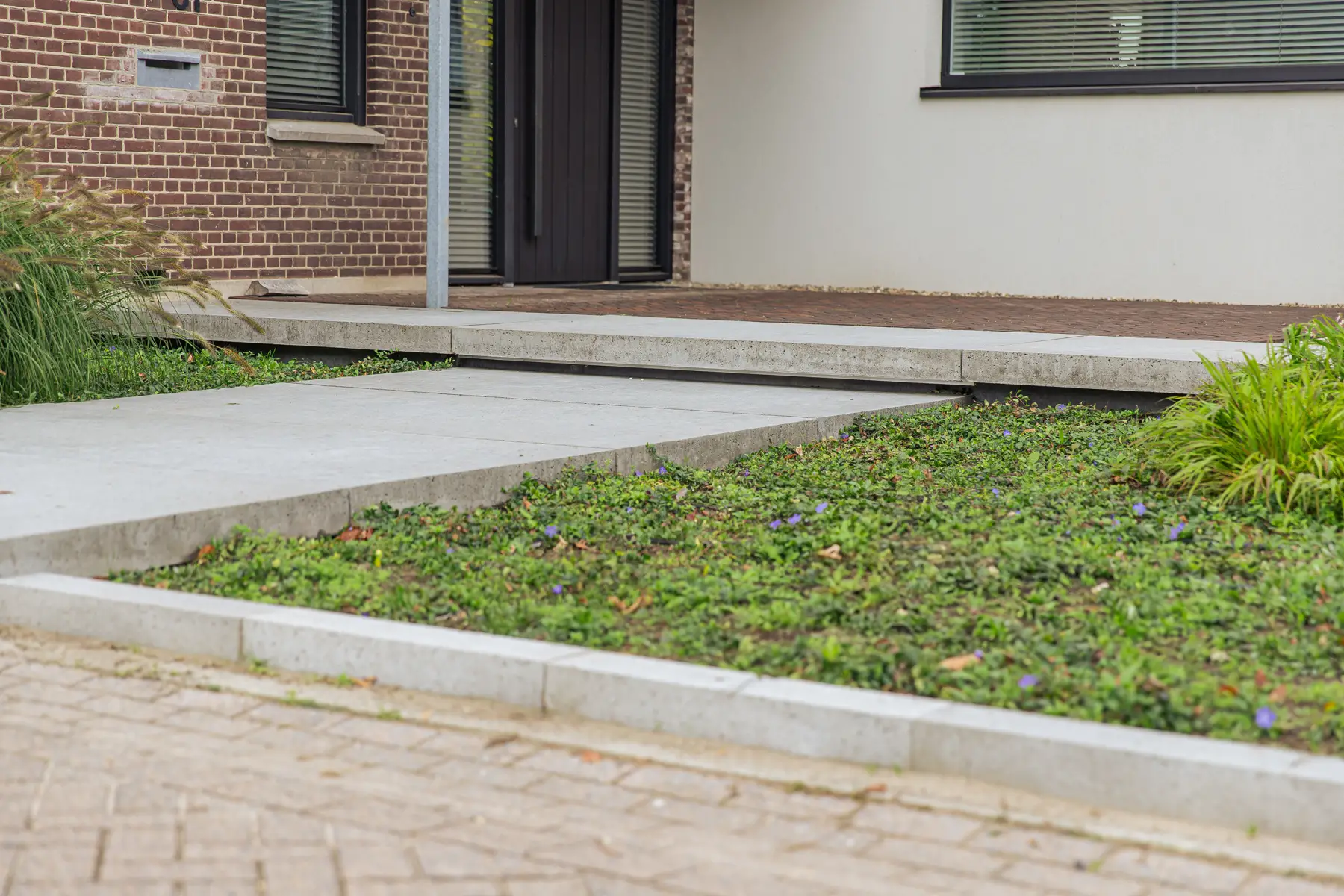 Groene tuin met zwembad