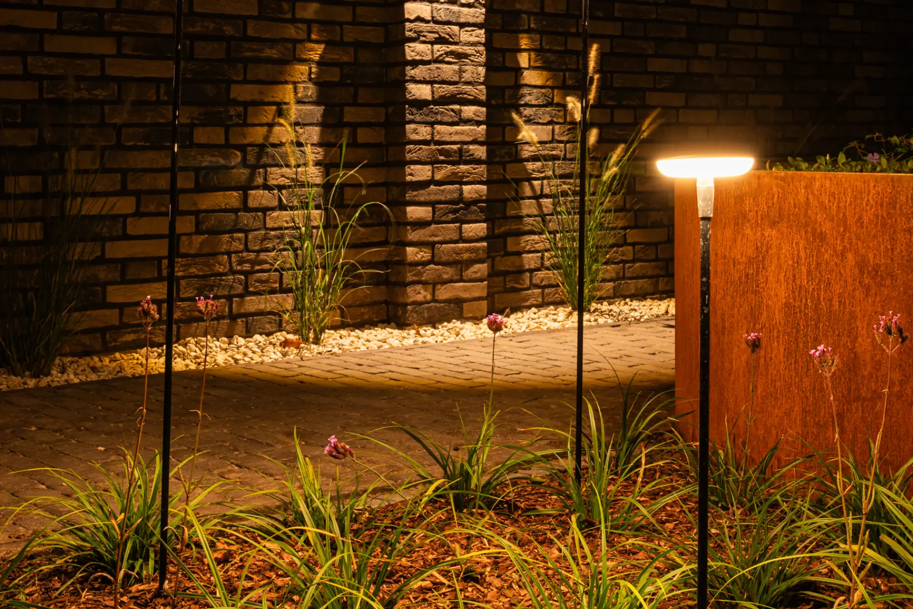 Moderne tuin met organische lijnen