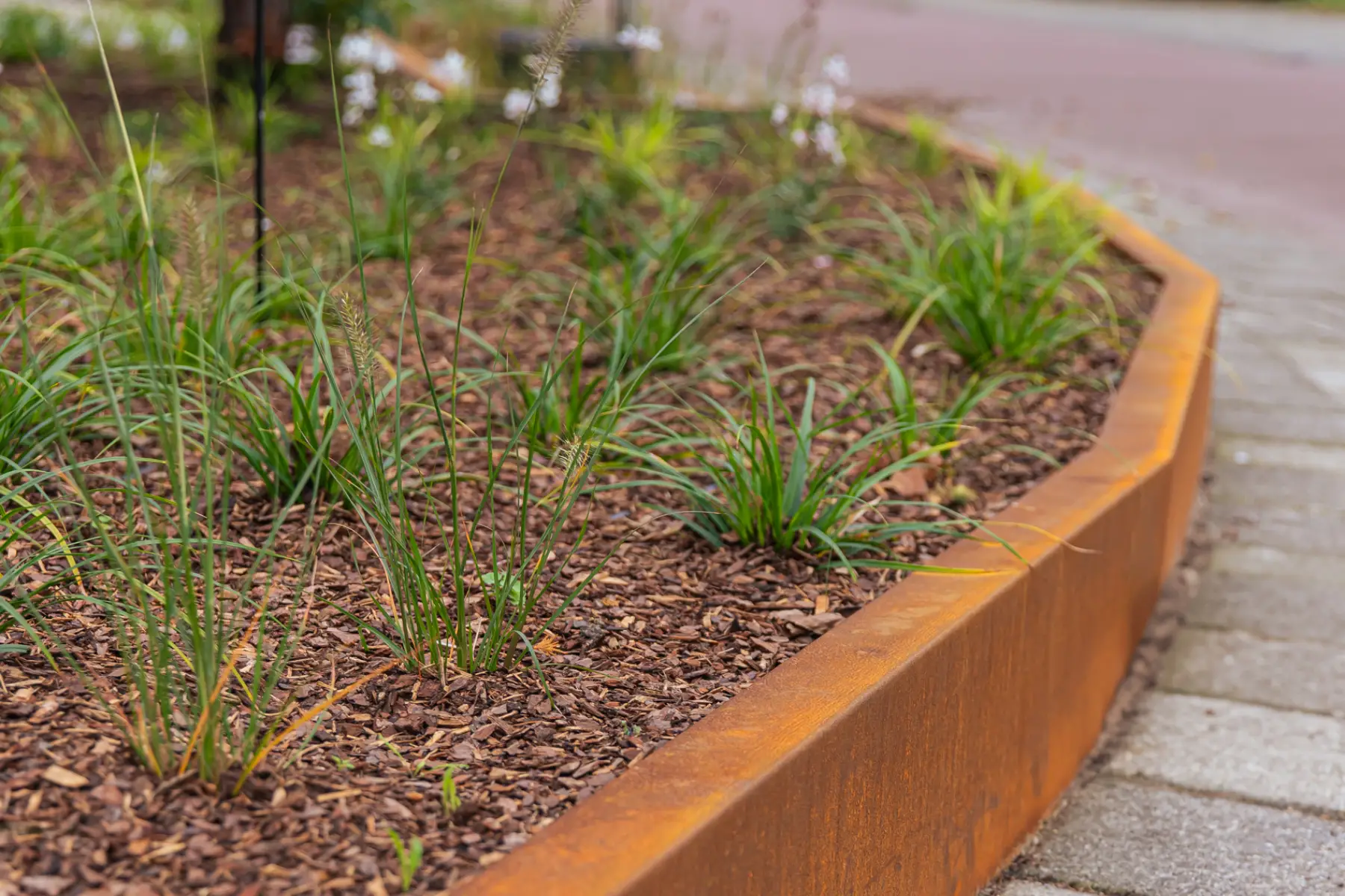 Moderne tuin met organische lijnen