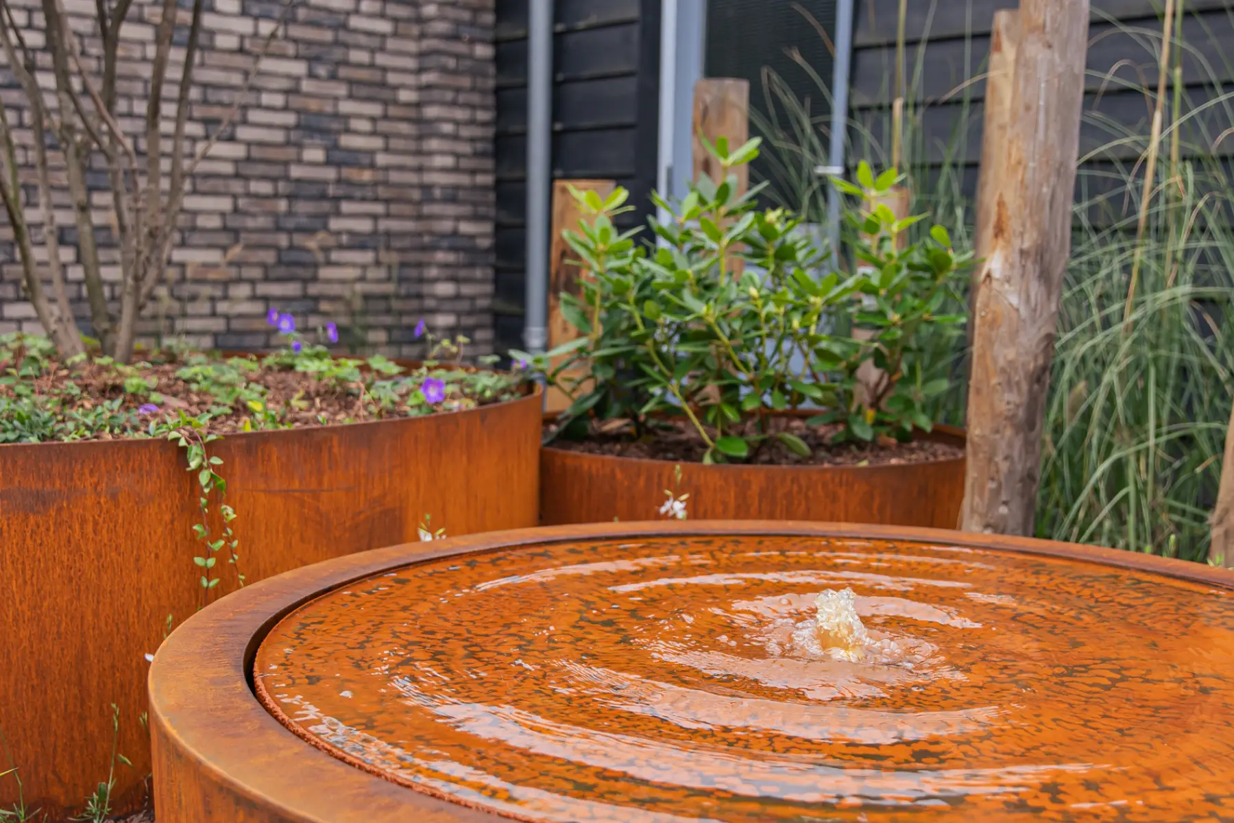 Moderne tuin met organische lijnen