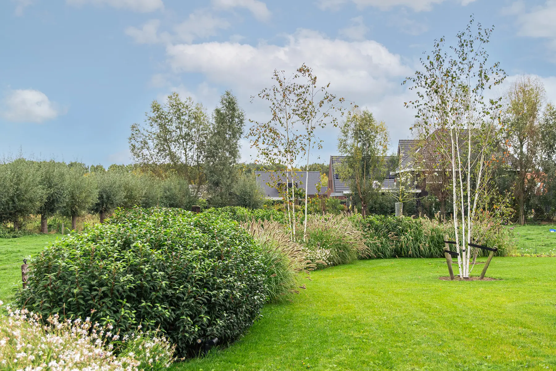 Groene tuin met zwembad