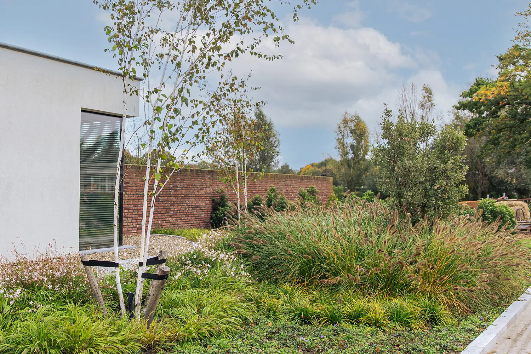 Groene tuin met zwembad