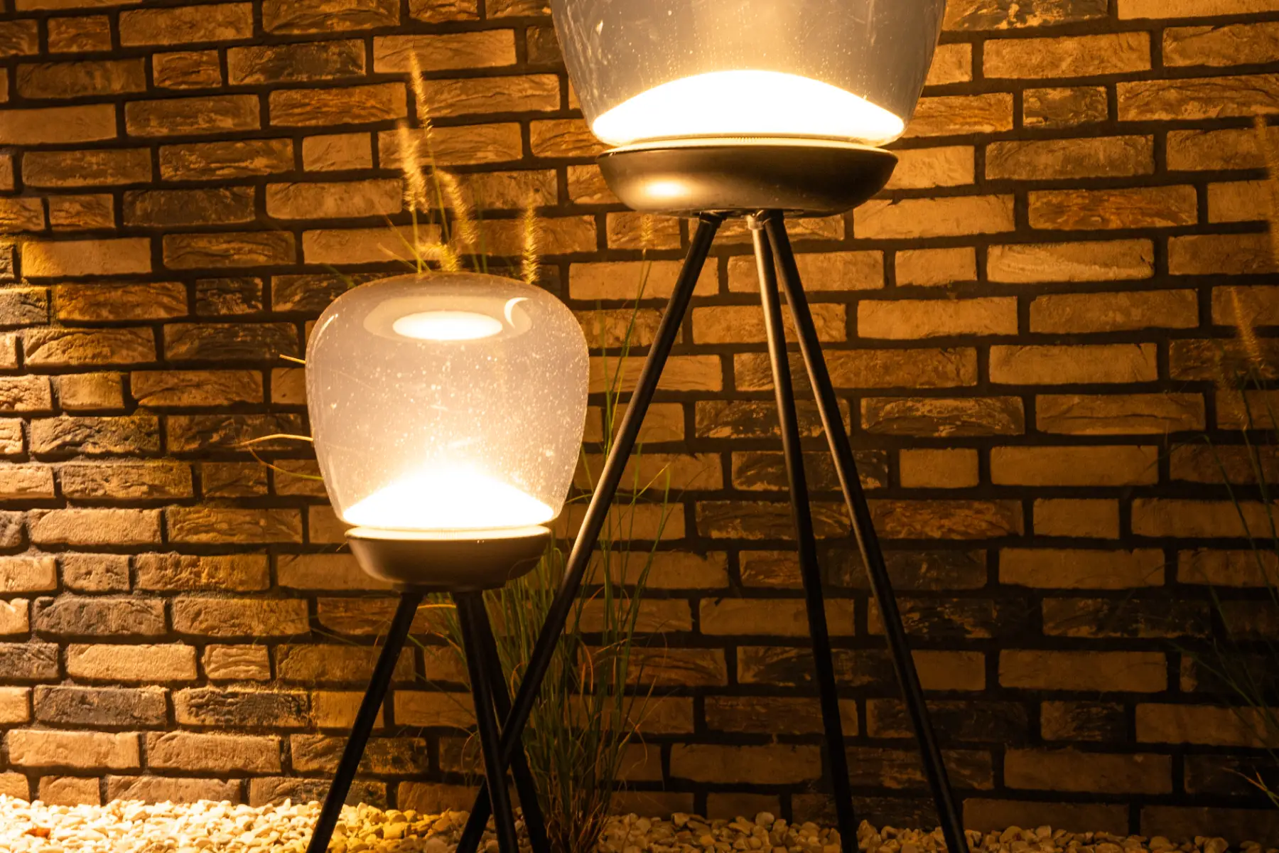 Moderne tuin met organische lijnen