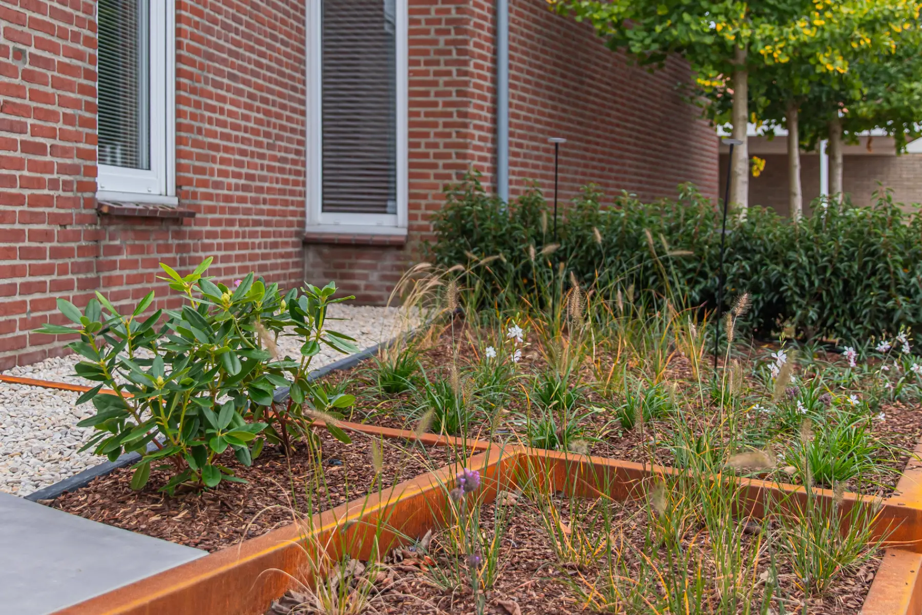 Moderne tuin met organische lijnen