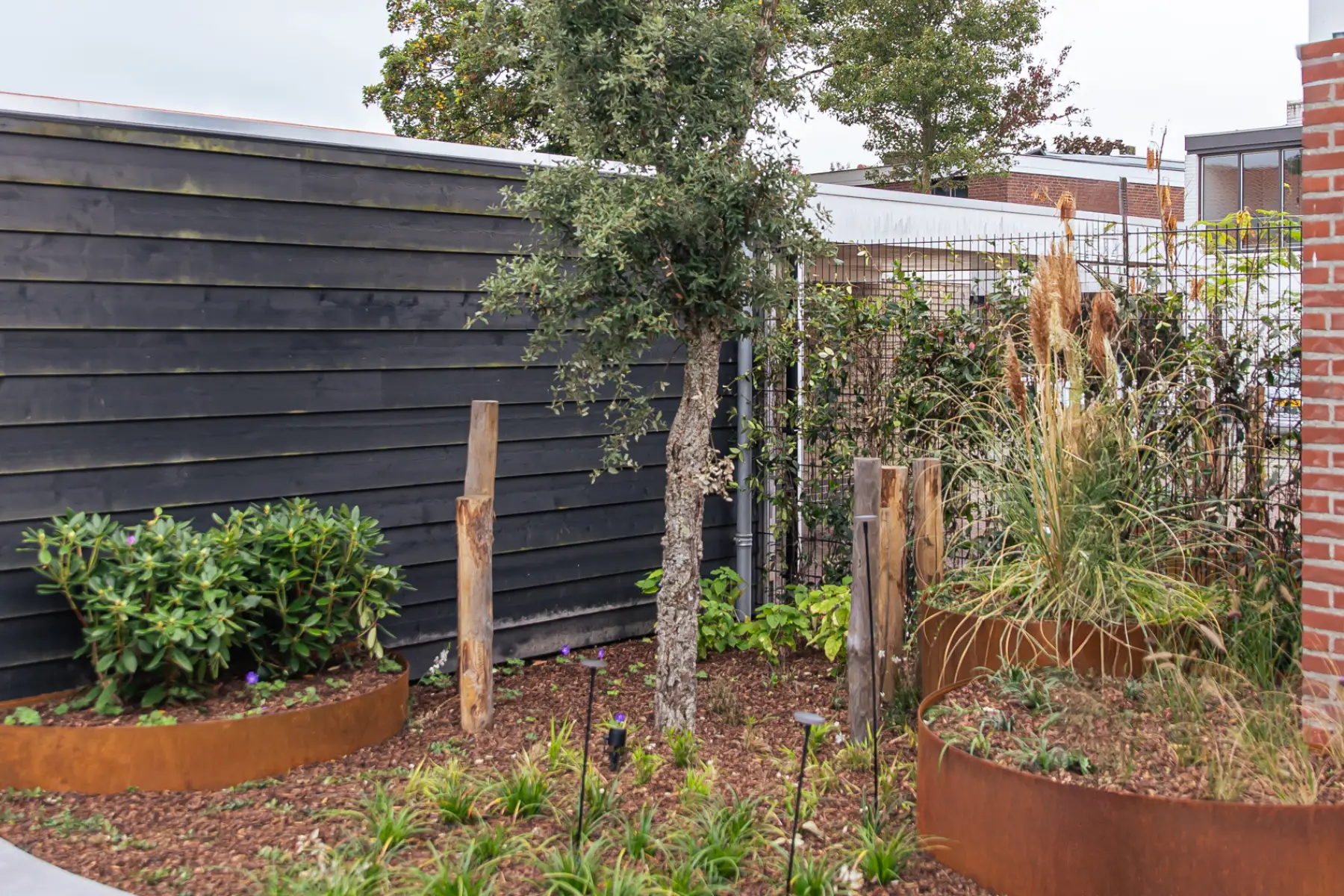 Moderne tuin met organische lijnen