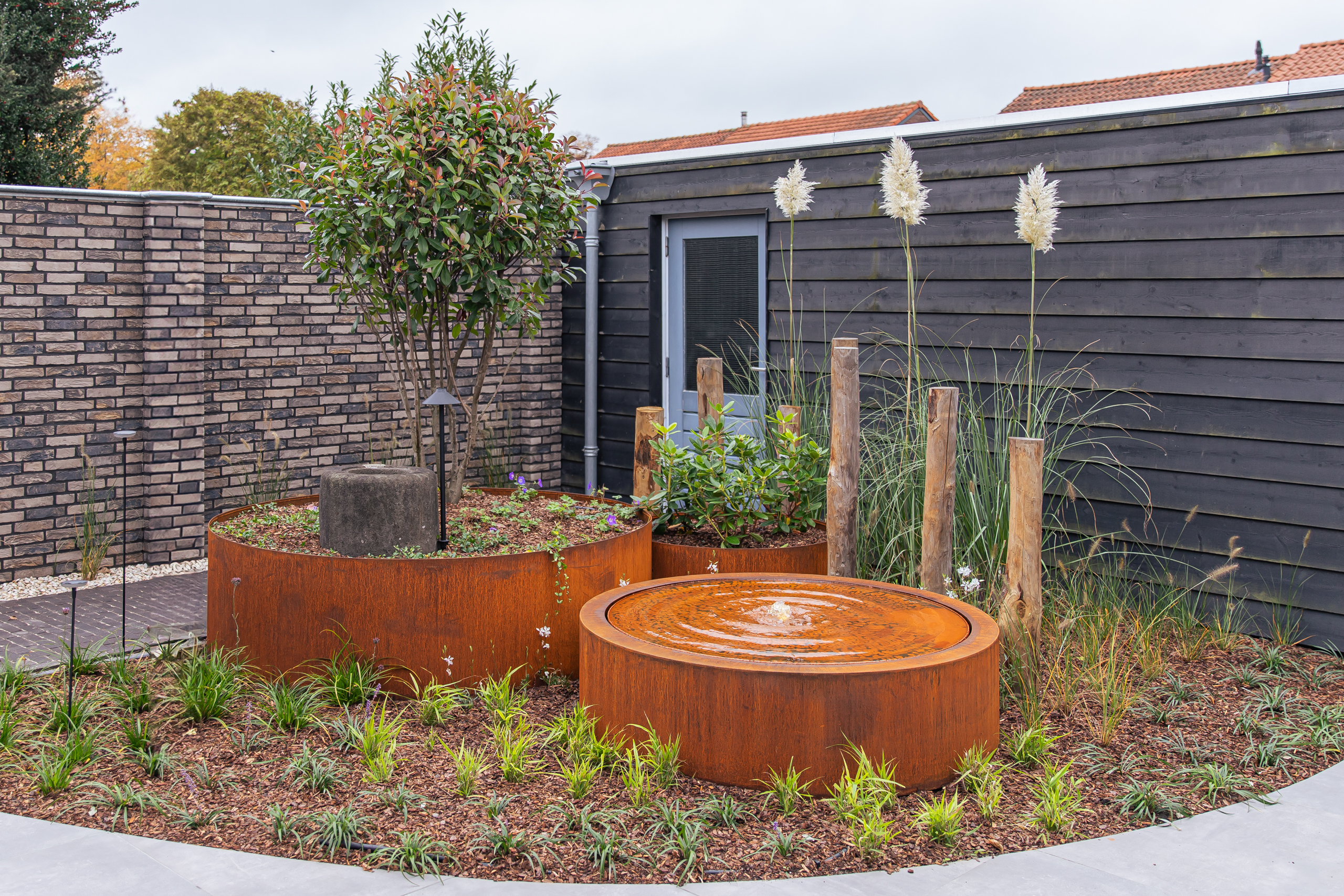 Moderne tuin met organische lijnen