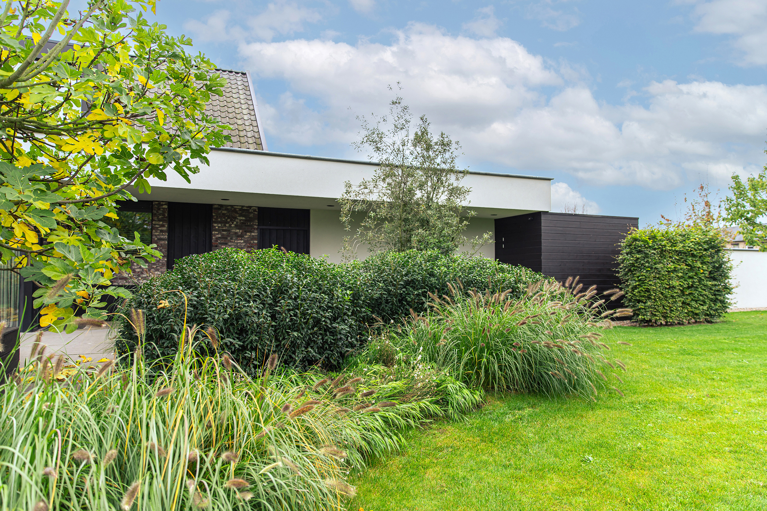Groene tuin met zwembad